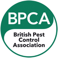 BPCA